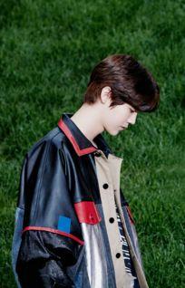 鹿晗霸气背景图,鹿晗背景图中的王者风范